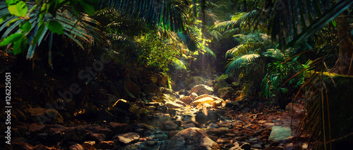 Fotomural Panorama of the mountain river in the jungle, India, Goa