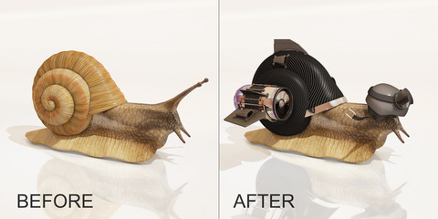 snail, before and after upgrade, 3d rendering