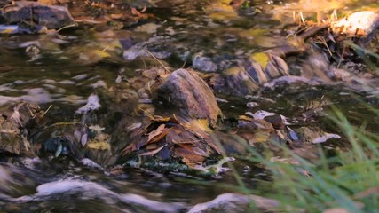 Fototapete - Small creek with waterfalls in the Autumn