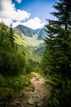 A Beautiful Tatry Mountain Landscape