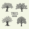 Creative olive, argan and coffee trees silhouette. Vector illustration. Logo design with tree used for advertising products premium quality.