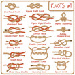 Set of rope knots, hitches, bows, bends isolated on white background. Decorative vector design