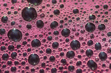 Bubbles The Wort Red Wine During Fermentation