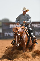 Wall Mural - The front view of a rider in cowboy chaps, boots and hat on a horseback running ahead and stopping the horse in the dust.