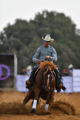 Wall Mural - The front view of a rider in cowboy chaps, boots and hat on a horseback running ahead and stopping the horse in the dust.