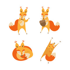 Poster - Cartoon Cute Squirrel Animal Set. Vector