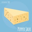Pepper Jack cheese vector icon 