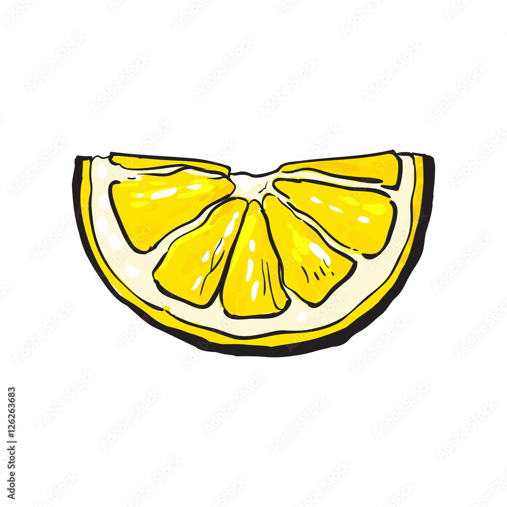 Hand drawn slice of lemon, sketch style vector illustration isolated on  white background. Drawing of lemon slice, citrus, side view, colorful  illustration Stock Vector | Adobe Stock, image size:1000x1000