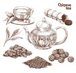 Chinese tea set. Hand drawn collection of varied traditional Chinese tea in vintage style. Vector illustration
