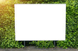 © pkproject - White billboard on spring summer green leaves