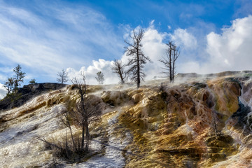 Mammoth Hot Springs in Yellowstone National Park