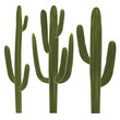 Isolated Saguaro Cactus Set