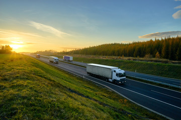 Poster - The trucks driving on the asphalt expressway between green meadows and larch forest in autumn landscape at sunset.