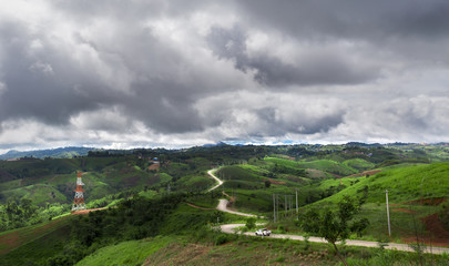 Phu tub berk in Phu Hin Rong Kla National Park on the rainy day with a black cloud Phetchabun Province Asia Thailand.