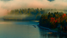 Stanley Park Foggy Morning,stanley Park,English Bay.Vancouver.BC ,Canada