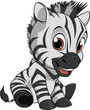 Cute funny zebra