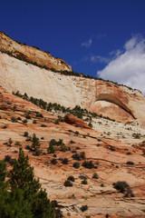 Sticker - White and red sandstone mountains