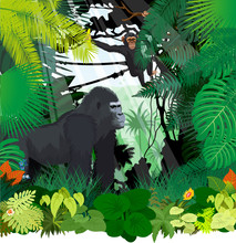 Vector Monkeys In Jungle