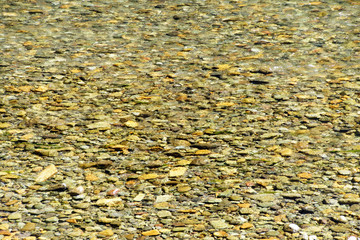 Poster - Smooth river rocks in the stream