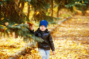 Beautiful funny boy playing in autumn Park