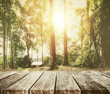 Forest In Summer, With Beautiful Sunlight And Wood Planks Floor, Vintage Tone
