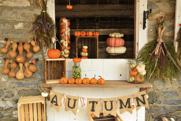 Autumn theme from Halloween and pumpkin market in USA.