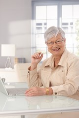 Wall Mural - Happy mature woman with laptop