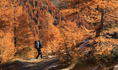 Poster - Female hiker walking in the warm autumn colors of the Claree valley, France.