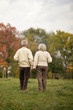 © aletia2011 - Elderly couple goes away through the alley in autumn park