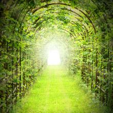 Green Tunnel With Sun Rays In Fresh Spring Foliage. Way To Nature. Natural Background From Beautiful Garden. Digital Artwork With Sunbeam Effect For Better Feeling.