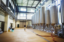 Interior View Of A Brewery With A Row Of Metal Beer Tanks.