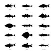 Set of silhouettes of fishes, vector illustration