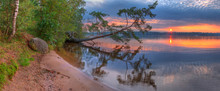 Panoramic View Of Beautiful Sunset On The Lake Hepoyarvi With Broken Tree On The Shore.