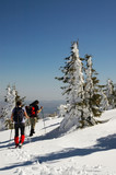 Fototapeta Las - People hiking in beautiful winter mountains