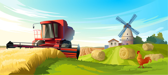 vector illustration rural summer landscape