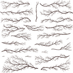 vintage set of gothic rustic design elements. floral vector frames