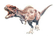 Динозавр. Майюнгазавр акварель