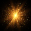 Light effect. Star burst with sparkles. Gold glitter texture