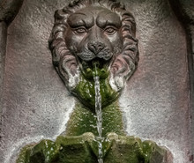 Bronze Lion Head Water Fountain Close Up.