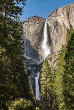 Upper And Lower Falls, Yosemite, Late Winter