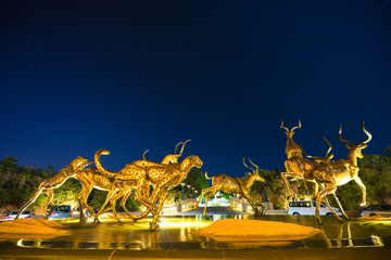 Long exposure night shot of, The chase FOUNTAIN at the Suncity, South Africa