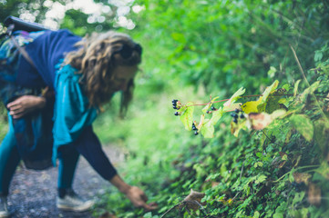 Woman collecting berries in forest