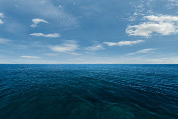 Wall Mural - blue sea and perfect sky