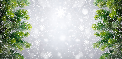 Christmas tree background