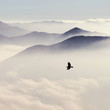 Silhouettes of mountains in the mist and bird flying in warm ton