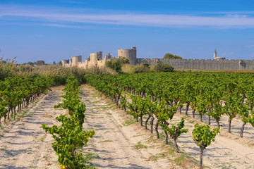 Canvas Print - Aigues Mortes - Aigues Mortes in Camargue