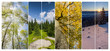 Four season collage from vertical banners