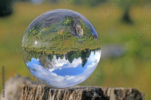 Fotografie, Obraz landschaft in kristallkugel, jura, schweiz