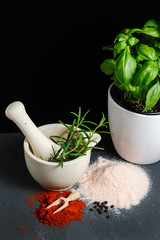 Fresh rosemary in white ceramic mortar, basil, Red Chilly powder, Himalayan salt and pepper on slate table