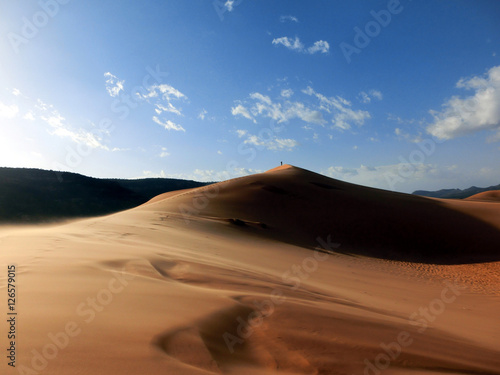 Fotografia, Obraz Windswept pink sand dune national park in Utah, USA